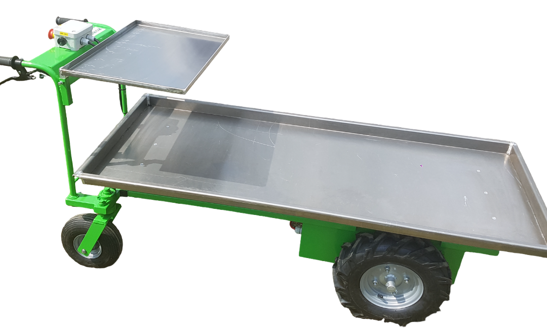 TRANSCOOT 750 – 4 roues